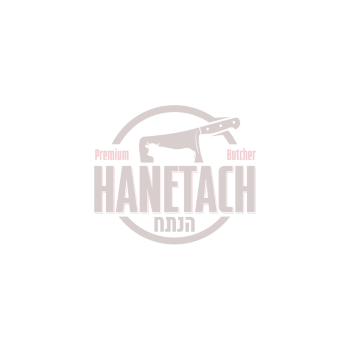 ממלא מקום